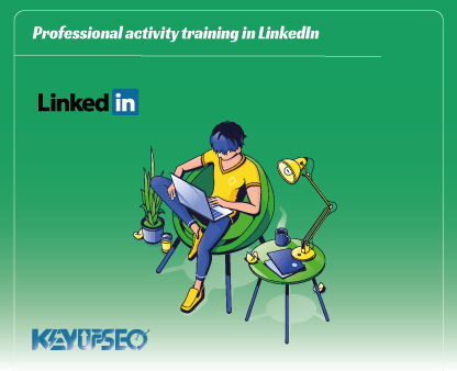 A guide to professional activity in the LinkedIn social network